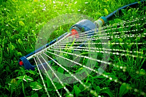 Lawn sprinkler spaying water over green grass.