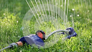 Lawn sprinkler spaying water over green grass.