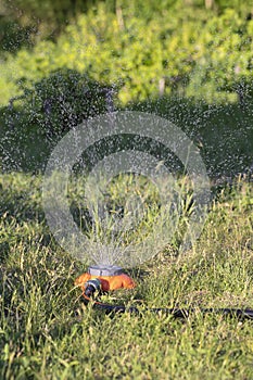 Lawn sprinkler spaying water over green grass. Automatic irrigation grass system