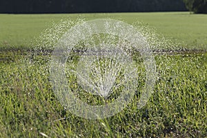 Lawn sprinkler spaying water over green grass. Garden irrigation system