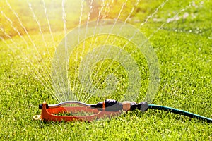 Lawn sprinkler spaying water over green grass photo
