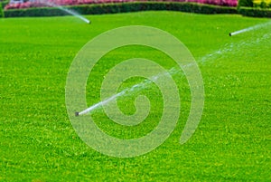 Lawn sprinkler spaying water over green grass. Irrigation system photo