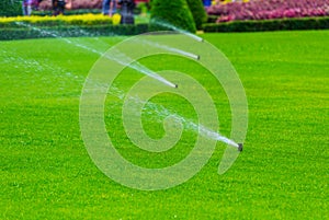 Lawn sprinkler spaying water over green grass. Irrigation system