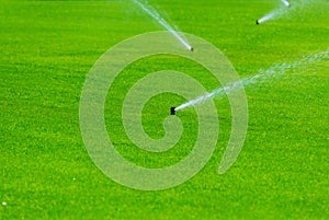 Lawn sprinkler spaying water over green grass. Irrigation system