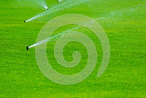 Lawn sprinkler spaying water over green grass. Irrigation system photo