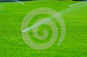 Lawn sprinkler spaying water over green grass. Irrigation system