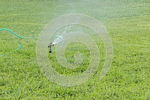 Lawn sprinkler spaying water over green grass. Irrigation system. Automatic watering lawns. Gardening.