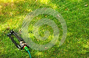 Lawn sprinkler spaying water over green grass. photo