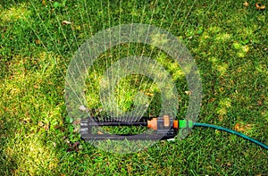Lawn sprinkler spaying water over green grass. photo