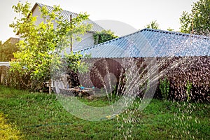 Lawn sprinkler spaying water over green grass at sunset. Irrigation system photo