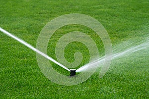 Lawn sprinkler spraying water