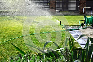 Lawn sprinkler watering green grass