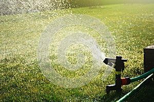 Lawn sprinkler watering green grass