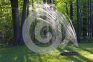 Lawn Sprinkler