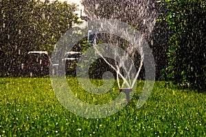 Lawn sprinkler working with blurred water in the air with a lot of copyspace