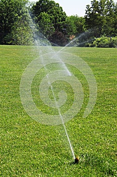 Lawn Sprinklers