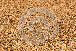 Lawn strewed by wooden chips
