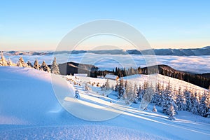 From the lawn with textured snowdrifts there is a view to winter landscape, fair trees in snow, old huts, high mountains, fog.