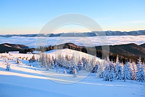 From the lawn with textured snowdrifts there is a view to winter landscape, fair trees in snow, old huts, high mountains, fog.