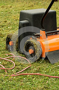 Lawn thatcher