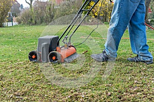 Lawn thatcher in action