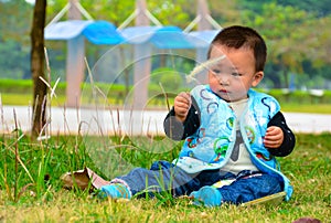 On the lawn to entertain the boy playing s.viridis