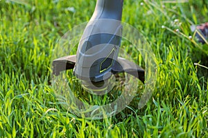 Lawn trimmer in the process of work. Close-up