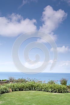 Lawn under Clear Sky