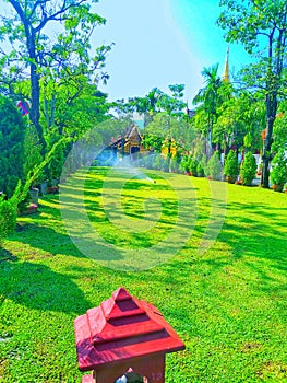 Lawn within Wat Phra Singh Thailand