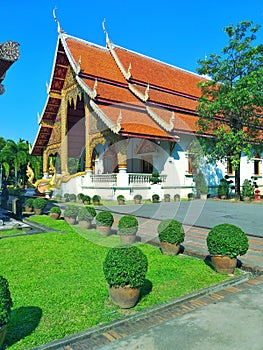 Lawn within Wat Phra Singh Thailand