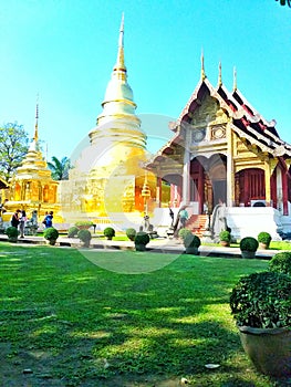 Lawn within Wat Phra Singh Thailand