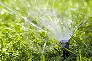 Lawn water sprinkler spraying water over grass in garden on a hot summer day. Automatic watering lawns. Gardening and environment