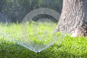 Lawn water sprinkler spraying water over grass in garden on a hot summer day. Automatic watering lawns. Gardening and environment