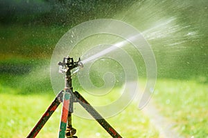 Lawn water sprinkler spraying water over lawn green fresh grass in garden on hot summer day.