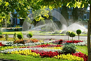 Lawn watering sprinkler