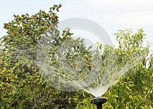 ..Lawn watering system. Irrigation of green grass. Sprinkler for the garden. Water drops