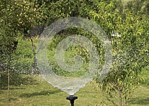 ..Lawn watering system. Irrigation of green grass. Sprinkler for the garden. Water drops