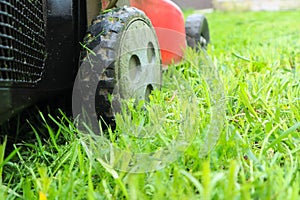 Lawnmover on on a grassy grass. An old red lawn mower mowing lush green grass photo