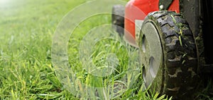 Lawnmover on on a grassy grass. An old red lawn mower mowing lush green grass photo