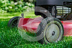 Lawnmower, cutting fresh green gras