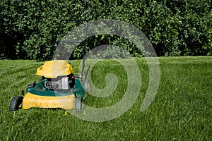 Lawnmower, cutting green grass close-up with space