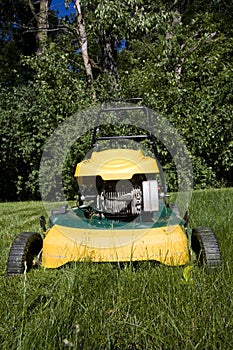 Lawnmower cutting long grass in a backyard