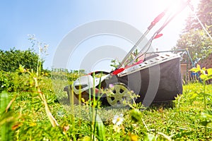 Lawnmower with grass box on the flowering lawn