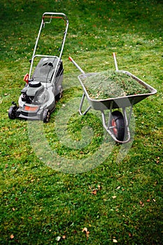 Lawnmower and wheelbarrow with grass on mown lawn