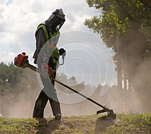 Lawnmower during the work