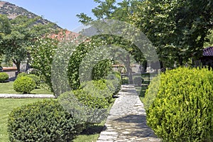 Lawns, shrubs and trees in the park