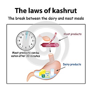 The laws of kosher. The break between the dairy and meat meals. Kosher dairy products in the stomach. Kosher meat