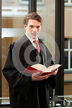 Lawyer with civil law code