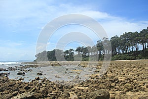 Laxmanpur Beach-1.