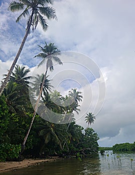 Lay Beach. Yap Island.  Micronesia